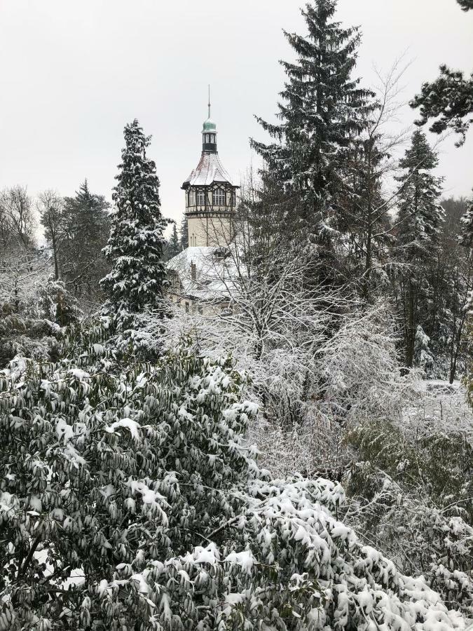Villa Eden Mulhouse Eksteriør bilde